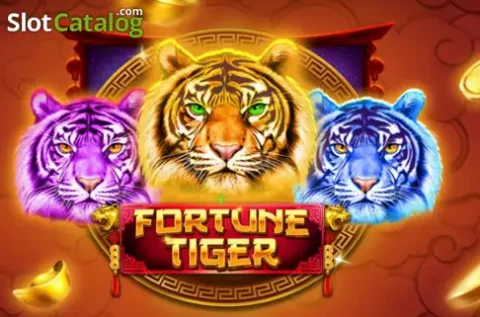 Xbagh Casino mobile app interface